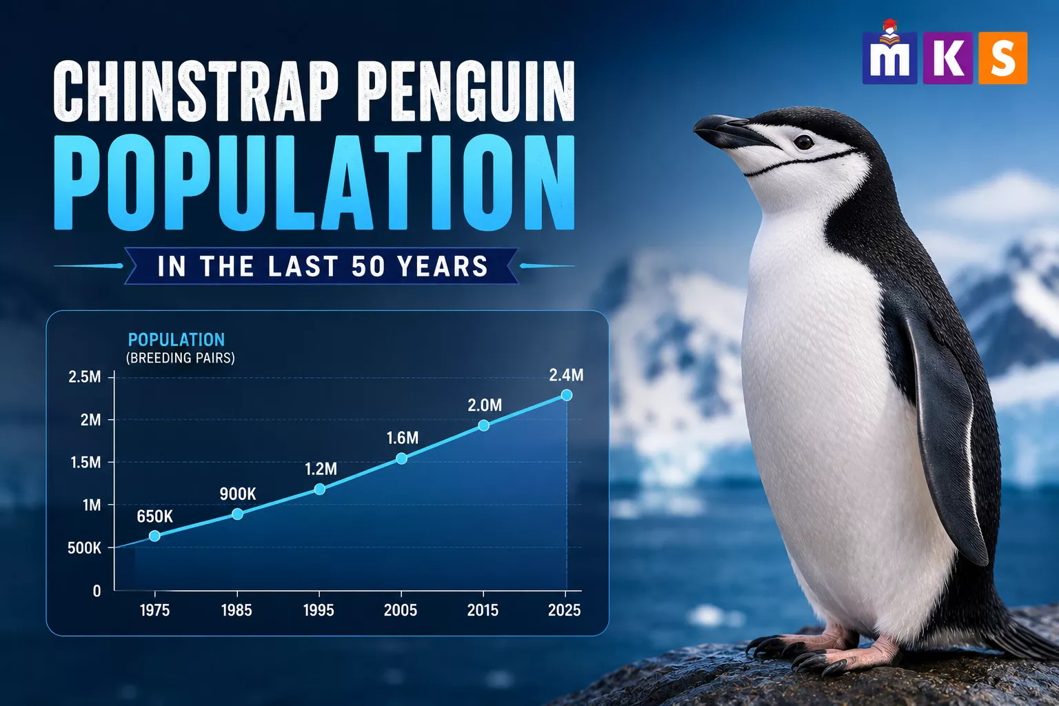 Chinstrap Penguin Population In The Last 50 Years