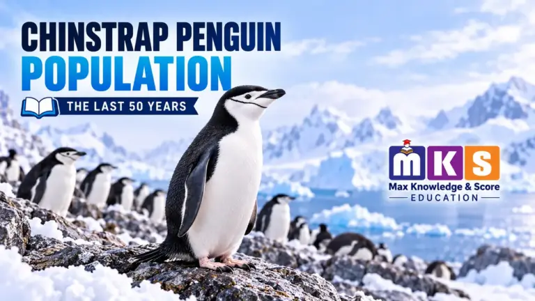 Chinstrap penguin colony in Antarctica, with MKS Education logo