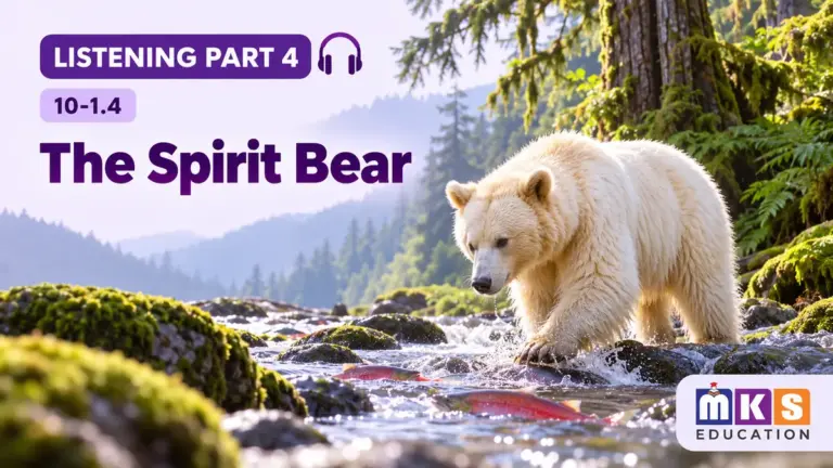 The Spirit Bear — IELTS listening, test 10-1.4.