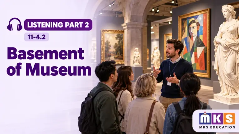 Basement of Museum — IELTS listening, test 11-4.2.