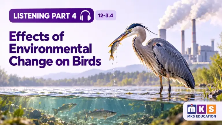 Effects of Environmental Change on Birds — IELTS listening, test 12-3.4.