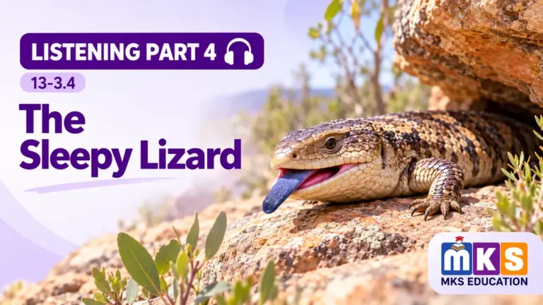 The Sleepy Lizard — IELTS listening, test 13-3.4.