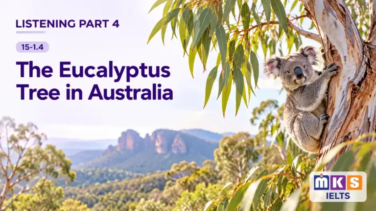 The Eucalyptus Tree in Australia — IELTS listening, test 15-1.4.