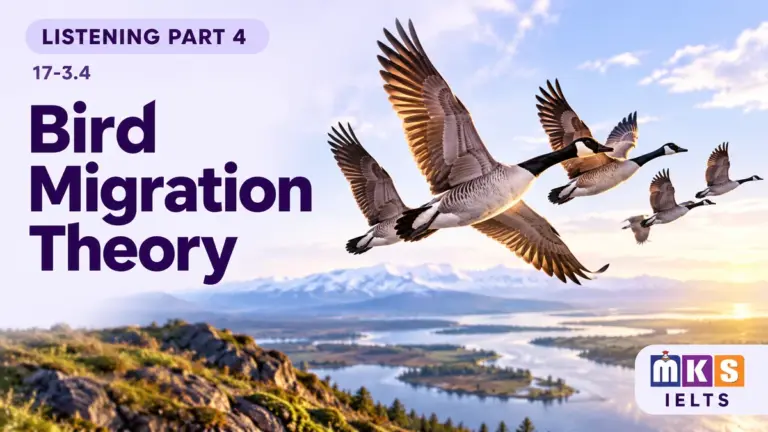 Bird Migration Theory — IELTS listening, test 17-3.4.