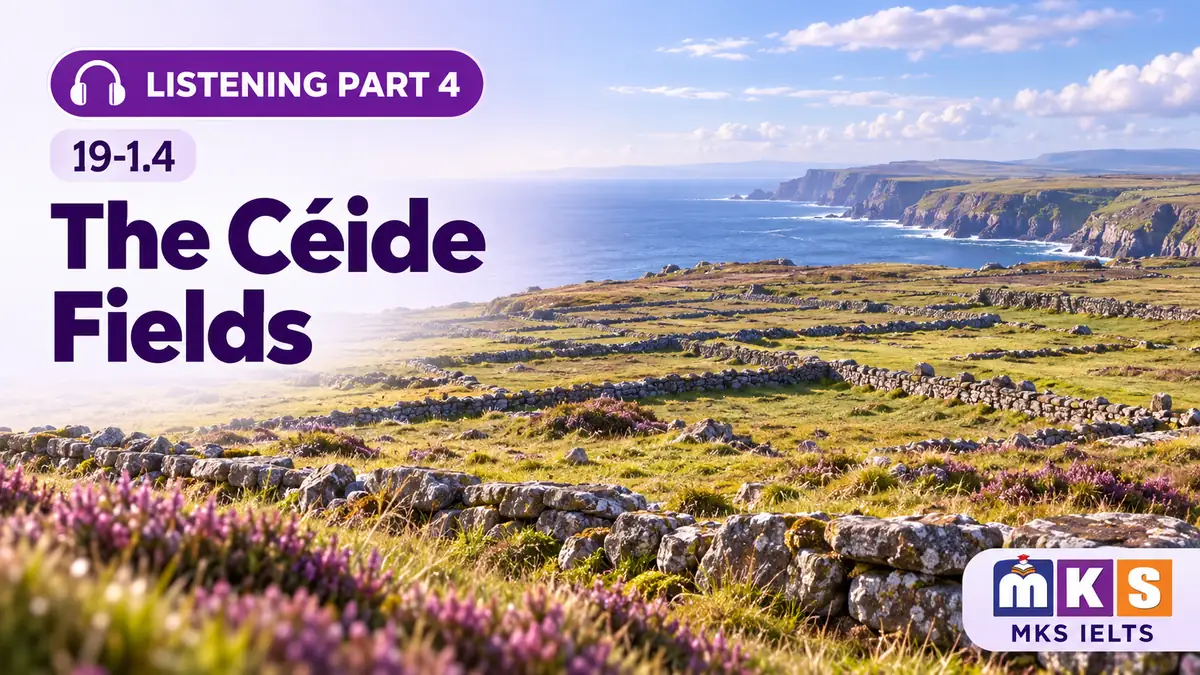 Listening 19-1.4 — The Céide Fields
