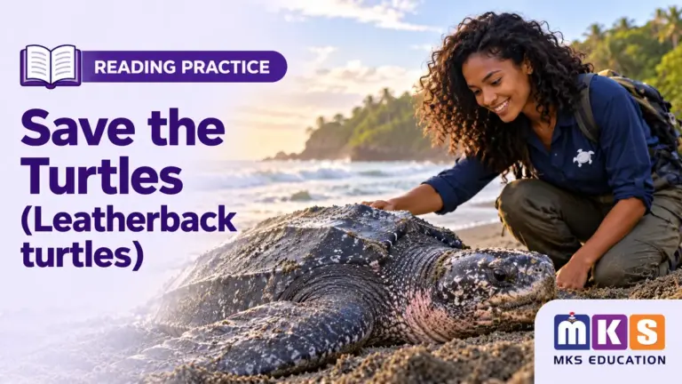Save the Turtles (Leatherback turtles) — MKS Education cover