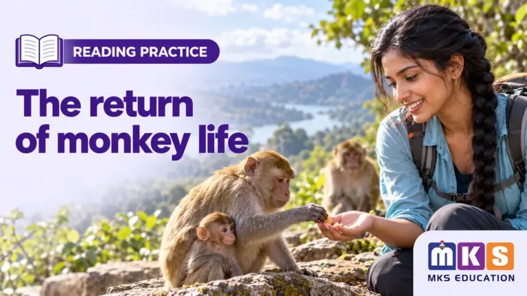 The return of monkey life — MKS Education cover