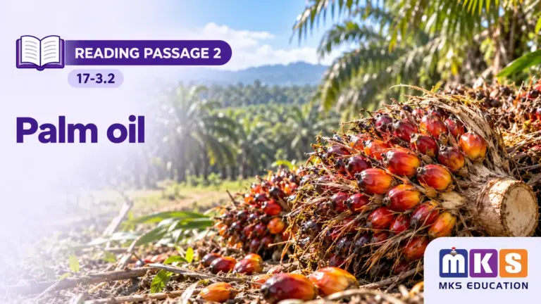 Reading 17-3.2 — Palm oil — MKS Education cover