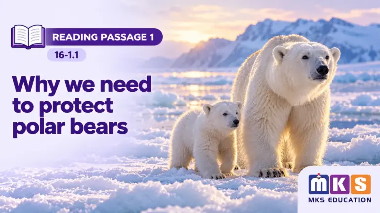 Reading 16-1.1 — Why we need to protect polar bears — MKS Education cover