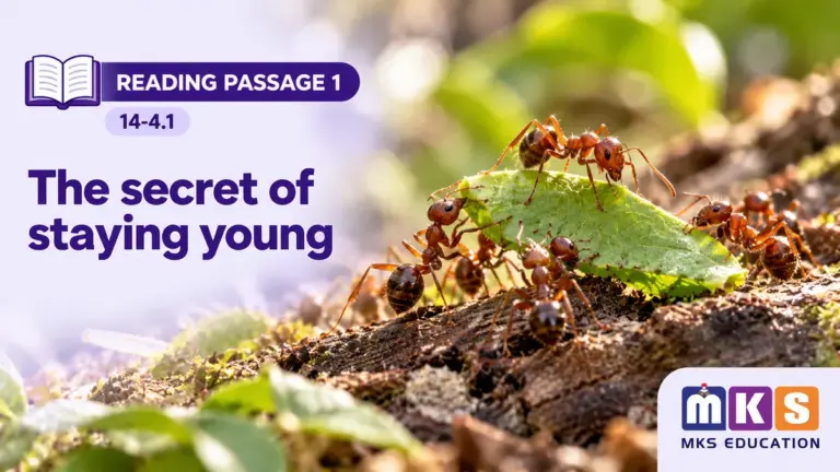Reading 14-4.1 — The secret of staying young — MKS Education cover