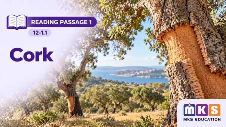 Reading 12-1.1 — Cork — MKS Education cover