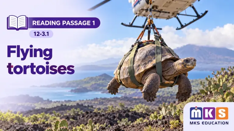 Reading 12-3.1 — Flying tortoises — MKS Education cover