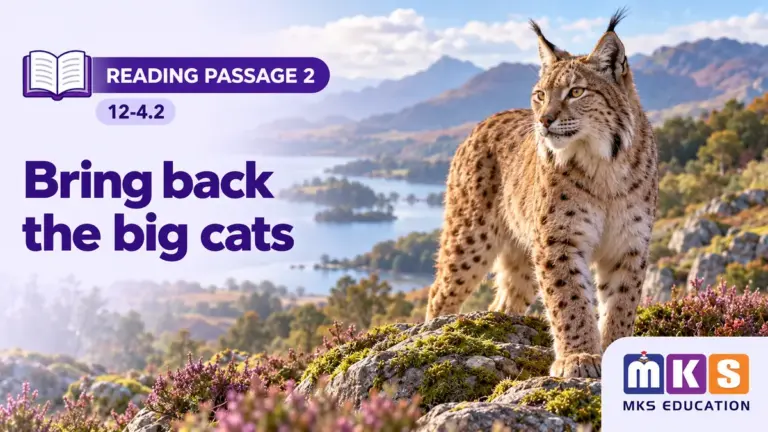 Reading 12-4.2 — Bring back the big cats — MKS Education cover