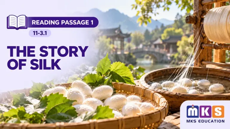 Reading 11-3.1 — THE STORY OF SILK — MKS Education cover