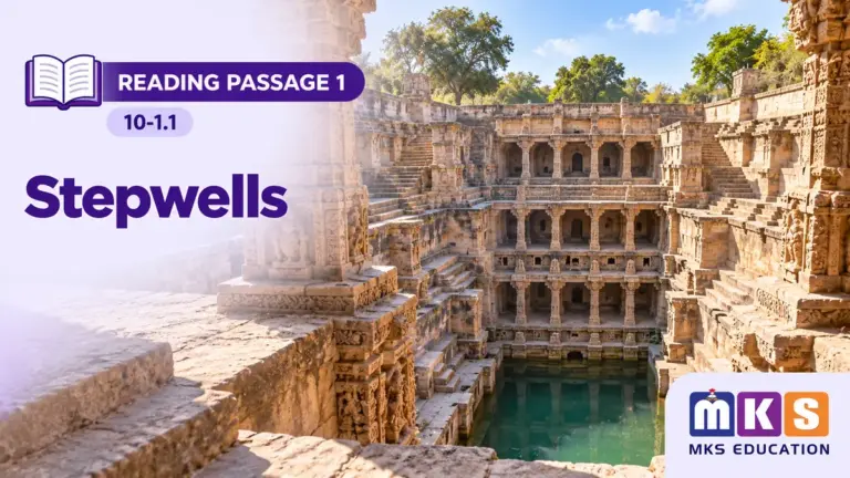 Reading 10-1.1 — Stepwells — MKS Education cover
