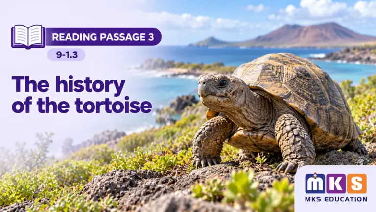 Reading 9-1.3 — The history of the tortoise — MKS Education cover