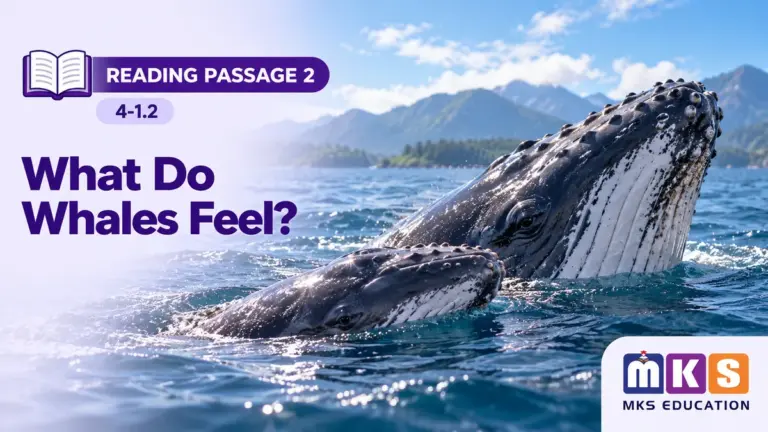 Reading 4-1.2 — What Do Whales Feel? — MKS Education cover