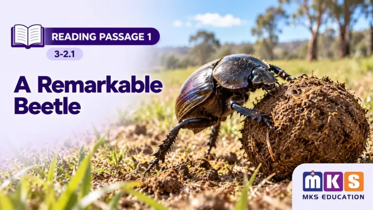 Reading 3-2.1 — A Remarkable Beetle — MKS Education cover