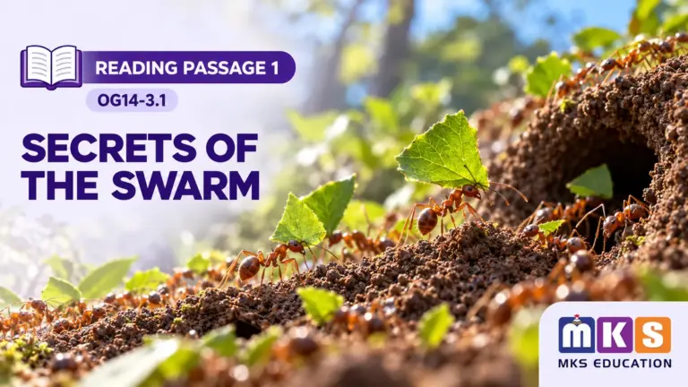 Reading OG14-3.1 — SECRETS OF THE SWARM — MKS Education cover