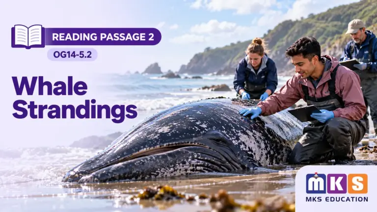 Reading OG14-5.2 — Whale Strandings — MKS Education cover