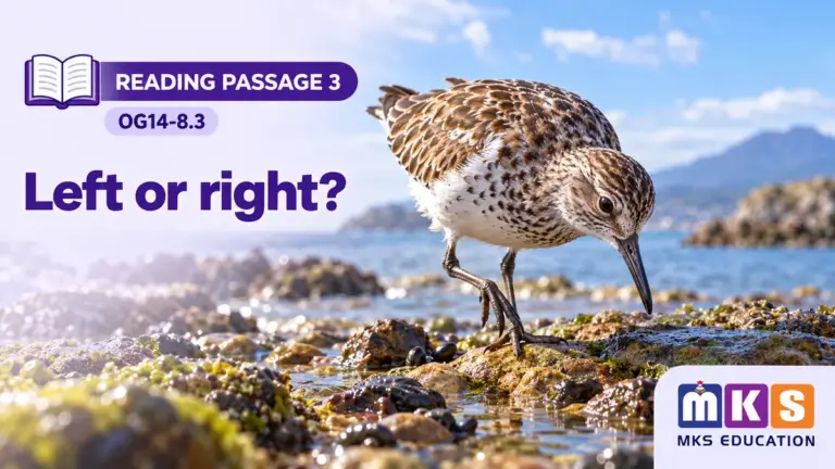 Reading OG14-8.3 — Left or right? — MKS Education cover