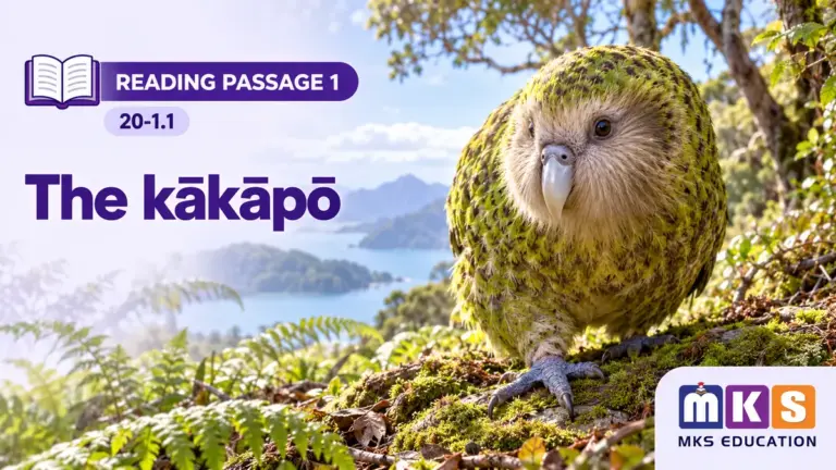A kākāpō in a New Zealand forest — IELTS Reading Passage 1, test 20-1.1.