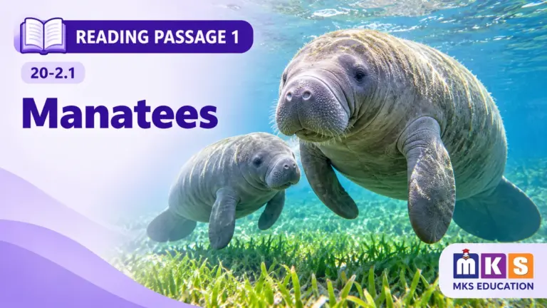 Manatees — IELTS Reading Passage 1, test 20-2.1.