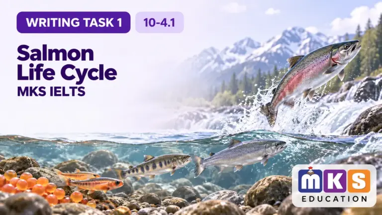 Salmon Life Cycle — IELTS writing, test 10-4.1.