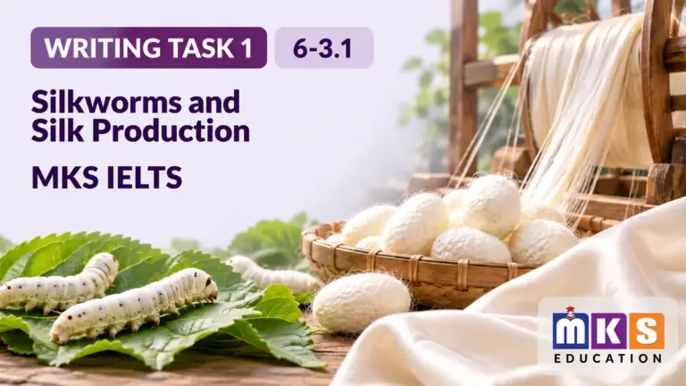 Silkworms and Silk Production — IELTS writing, test 6-3.1.
